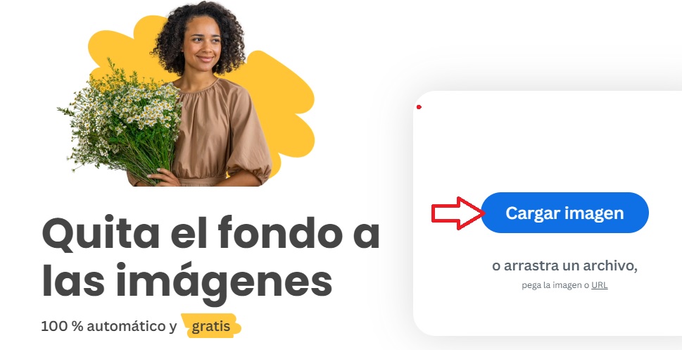 Cómo quitar el fondo de una imagen