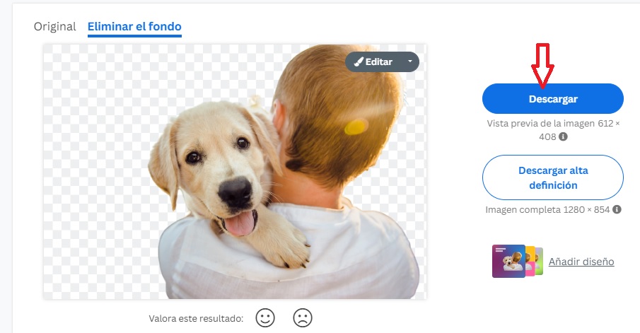 Cómo quitar el fondo de una imagen